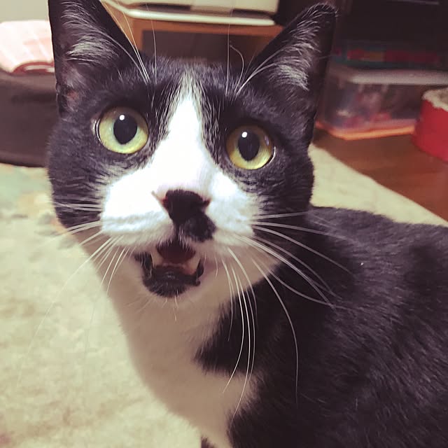Tabasaさんの実例写真