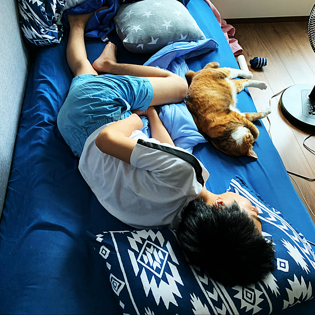 人間みたいなネコ/ねこのいる日常/子供部屋/ベッド周りのインテリア実例 - 2020-06-10 21:53:12