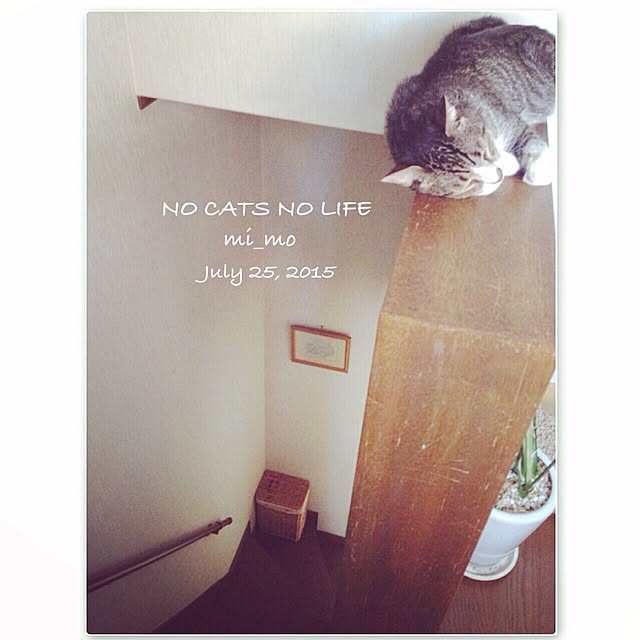 mi_moさんの実例写真