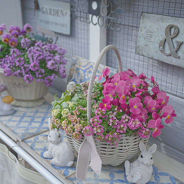 KNさんの実例写真