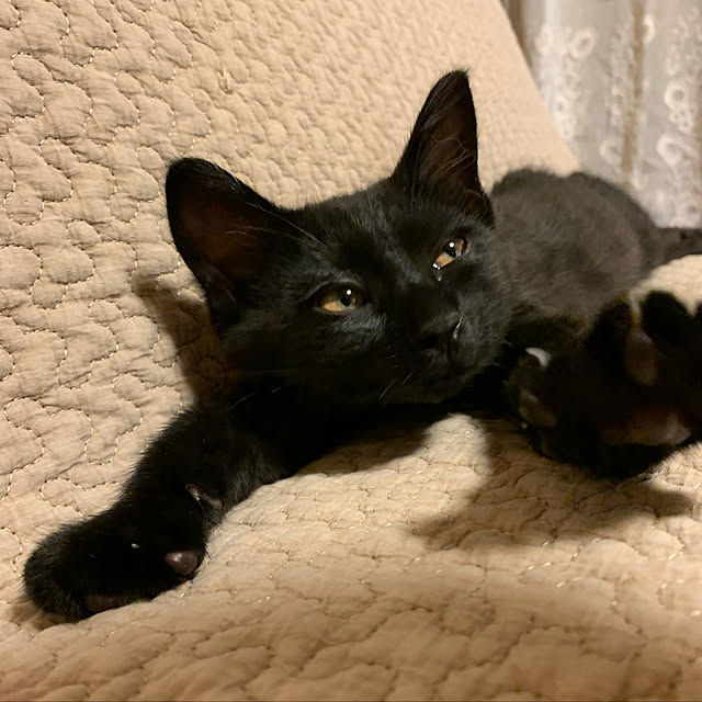 rioさんの実例写真