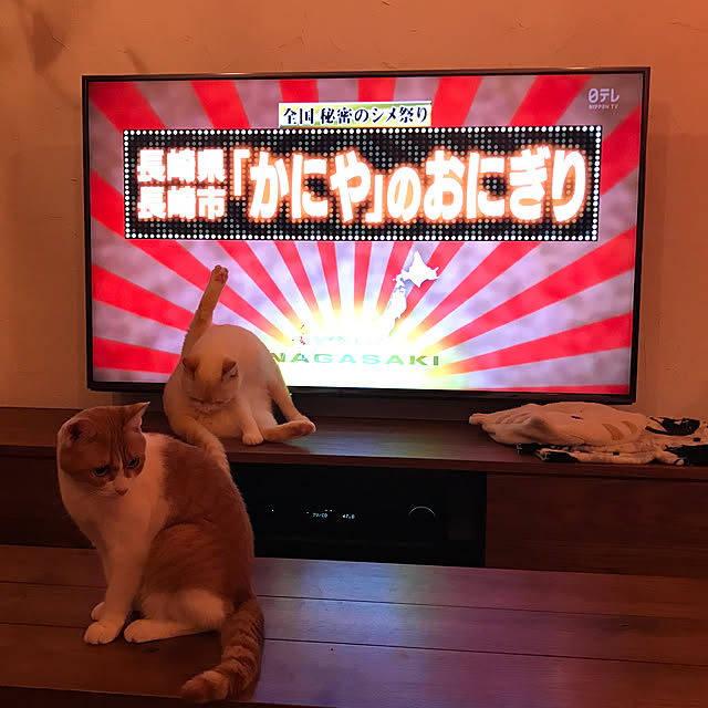 sakurasakuさんの実例写真