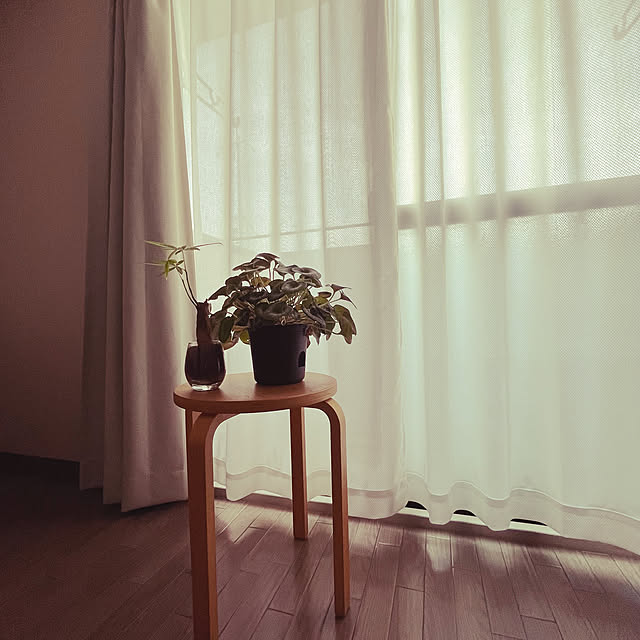 mnemon705さんの実例写真