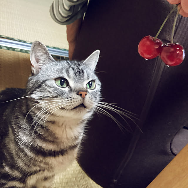 richanさんの実例写真