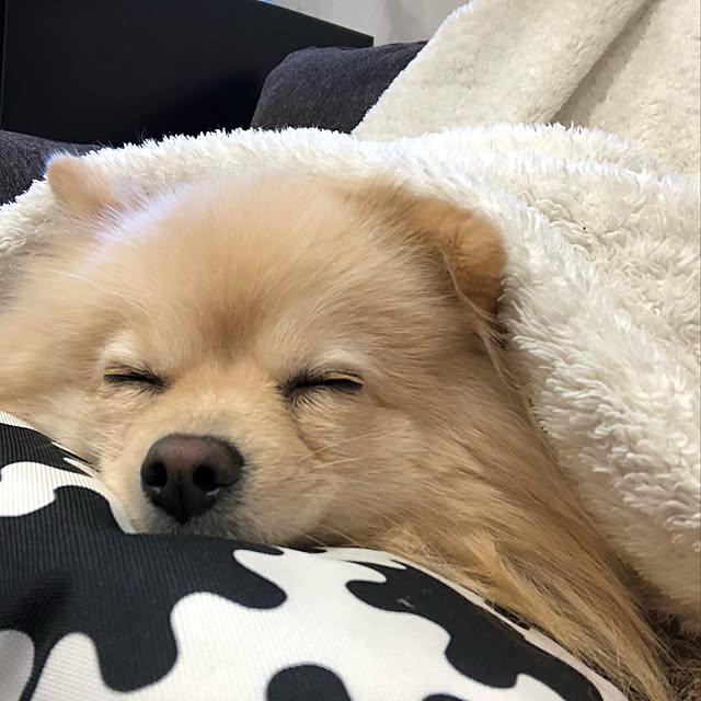 t.k.mさんの実例写真
