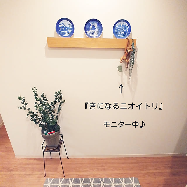 daccoさんの実例写真
