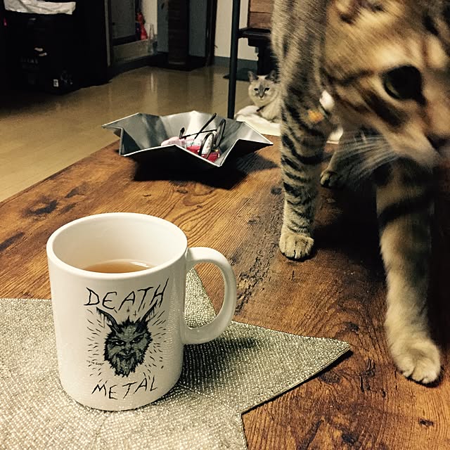 Hotateさんの実例写真