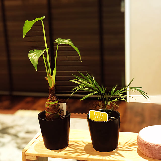imosukeさんの実例写真