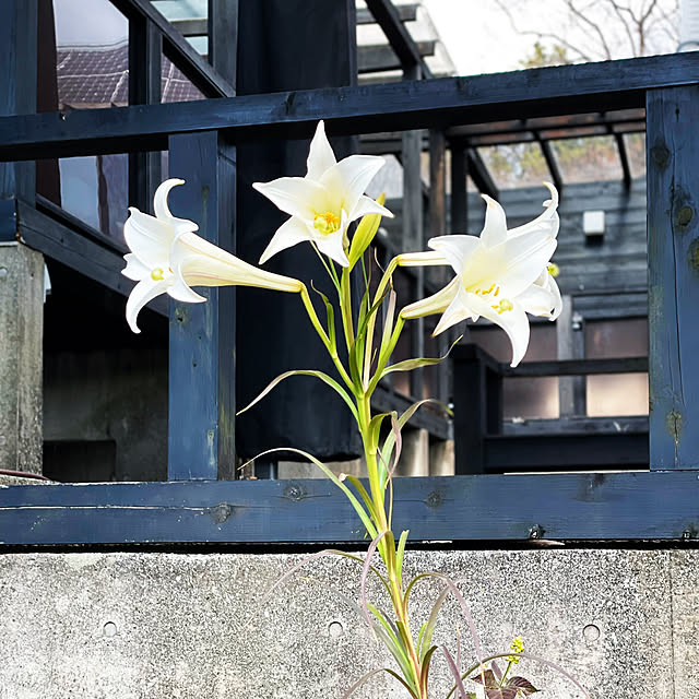 kabu10さんの部屋