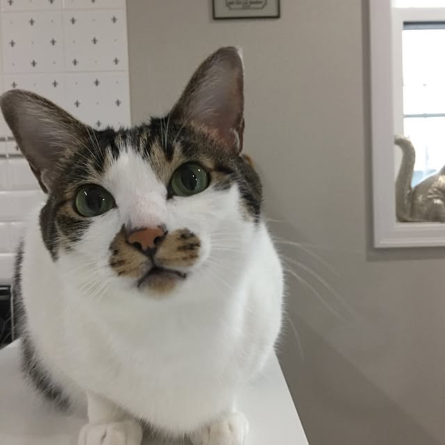 yuchiさんの実例写真