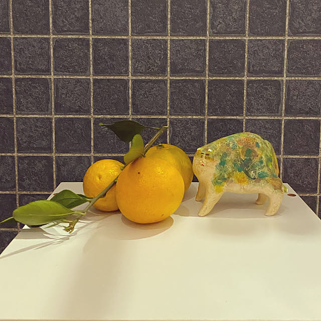 uninekoさんの実例写真