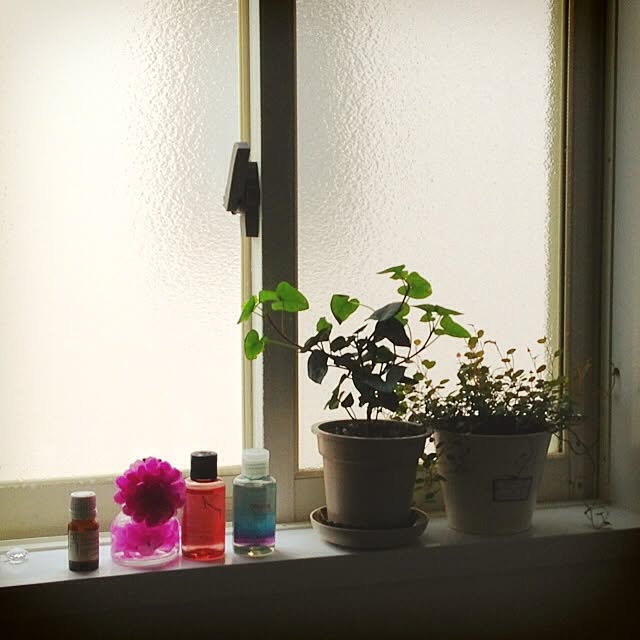 Hanaさんの実例写真