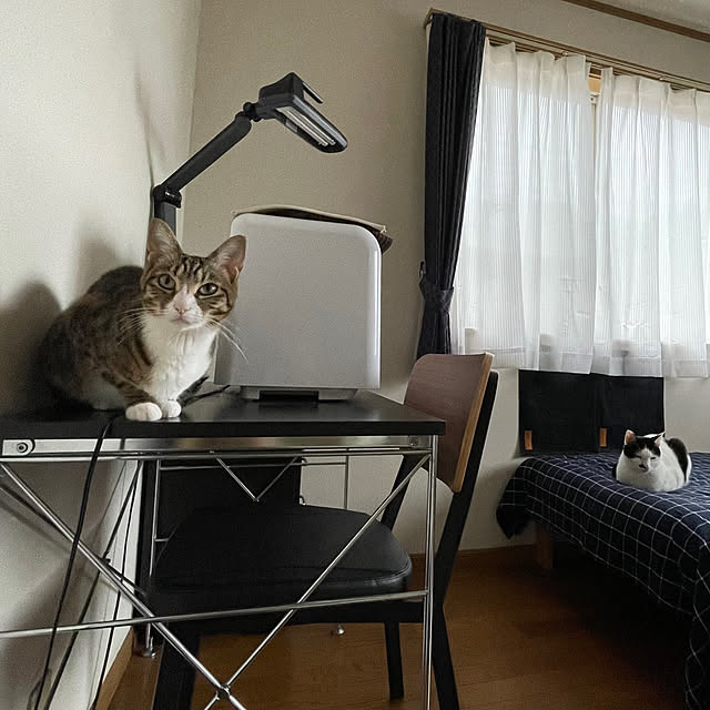 nobikoさんの部屋