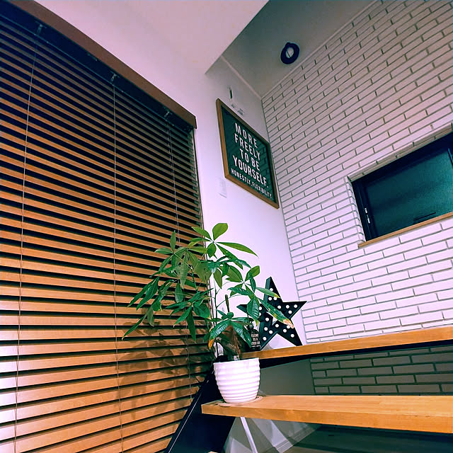 amon2011amonさんの実例写真