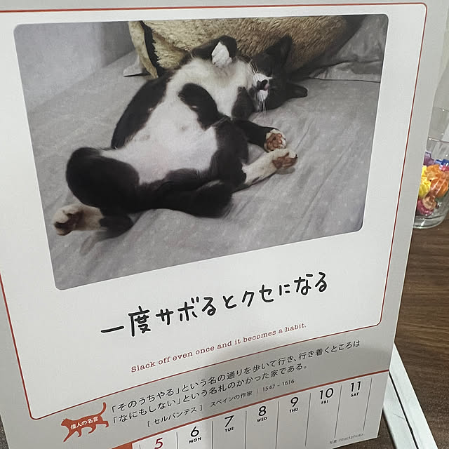 SnugHouseさんの部屋