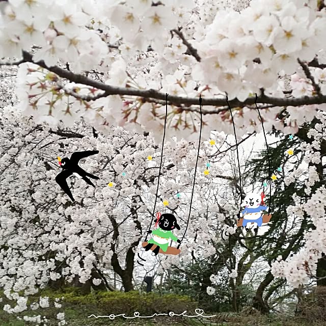 moco-mocoさんの実例写真