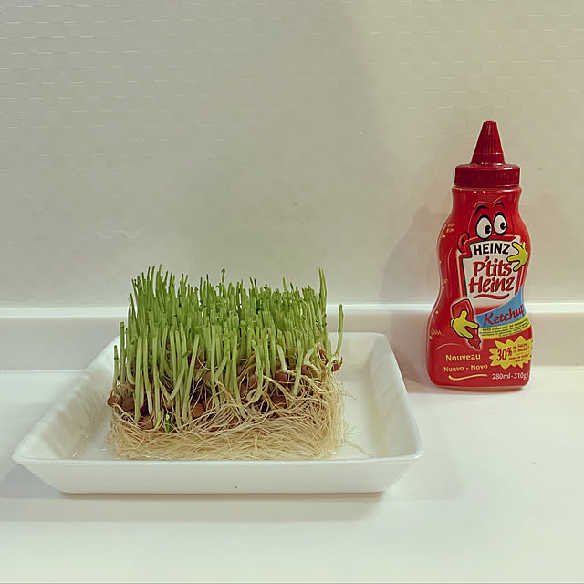 lllnklllさんの実例写真