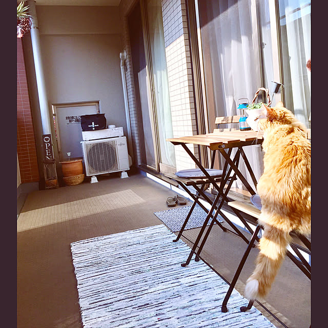 Ryokoさんの実例写真