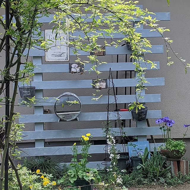 hiroさんの実例写真