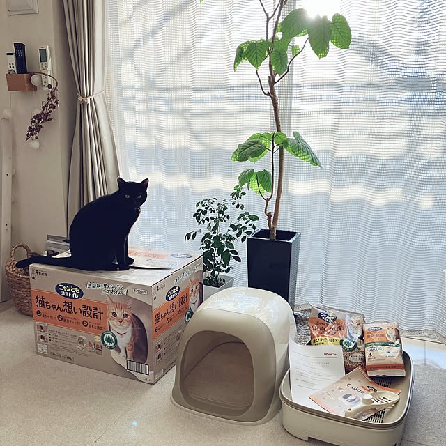 nekomiさんの部屋