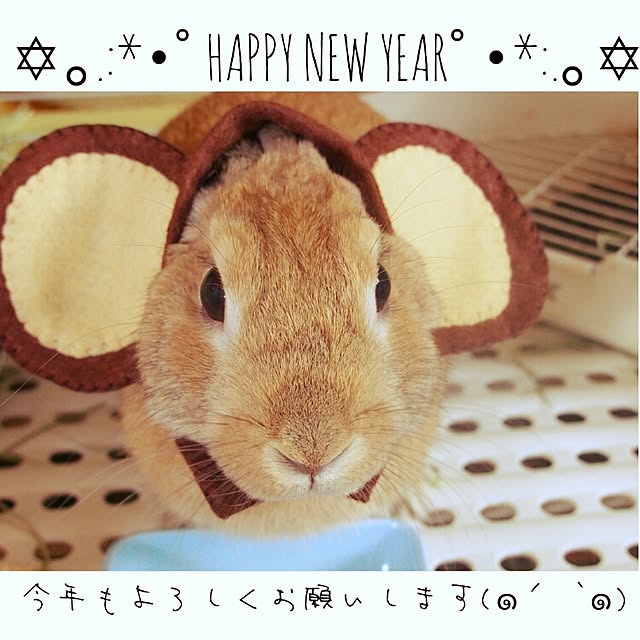 机/うさぎ/うさるのインテリア実例 - 2016-01-01 08:39:39