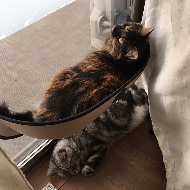 mikomaruさんの実例写真