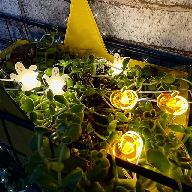 sakuraさんの実例写真