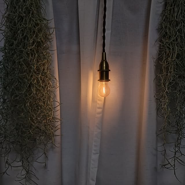 Petit_Pommierさんの部屋