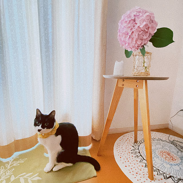 moolさんの実例写真