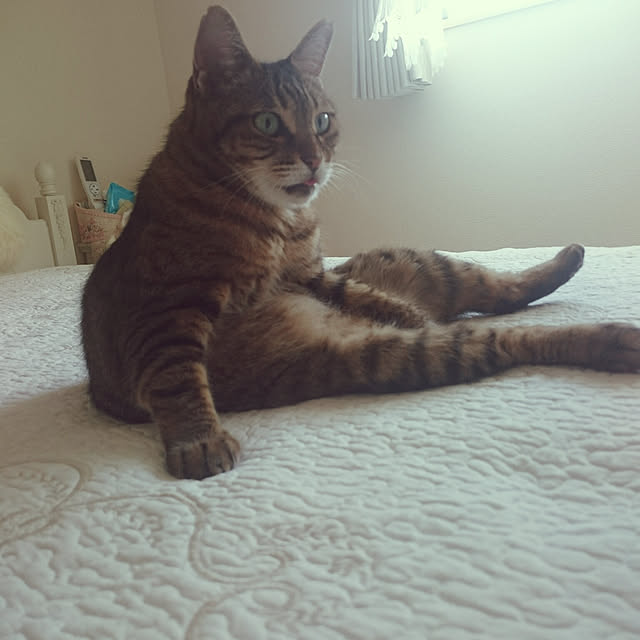 lilyさんの実例写真