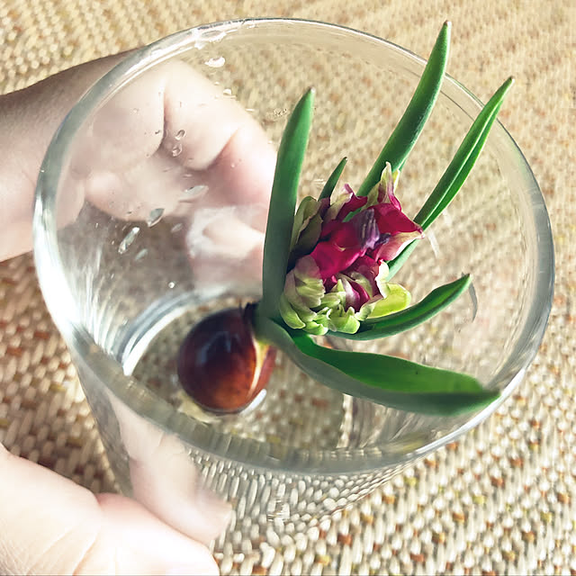 kamecoさんの実例写真