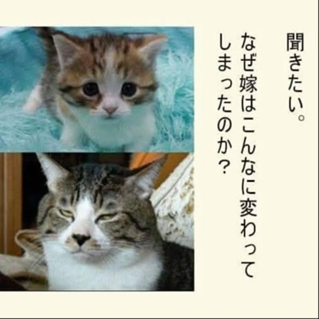 部屋全体/かわいい♡/男前のインテリア実例 - 2024-12-05 15:19:15