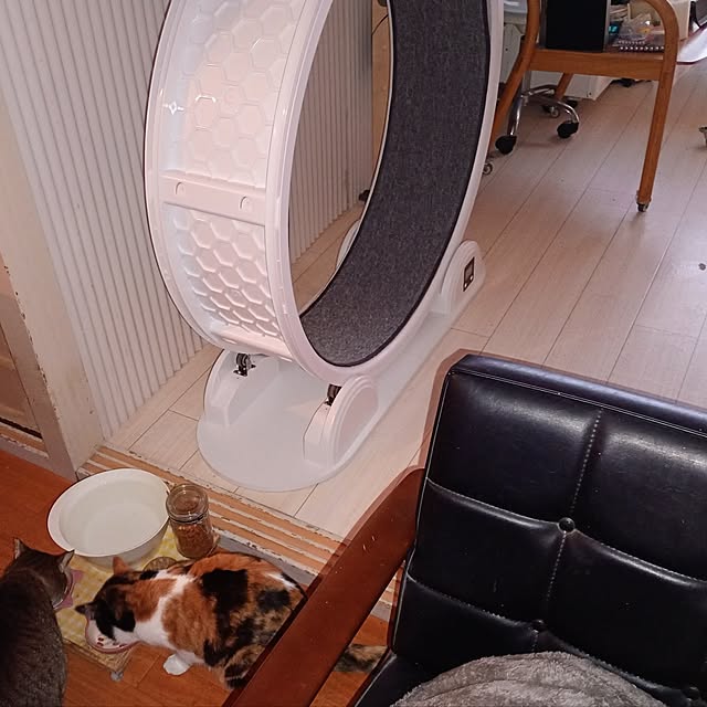 catloveさんの部屋