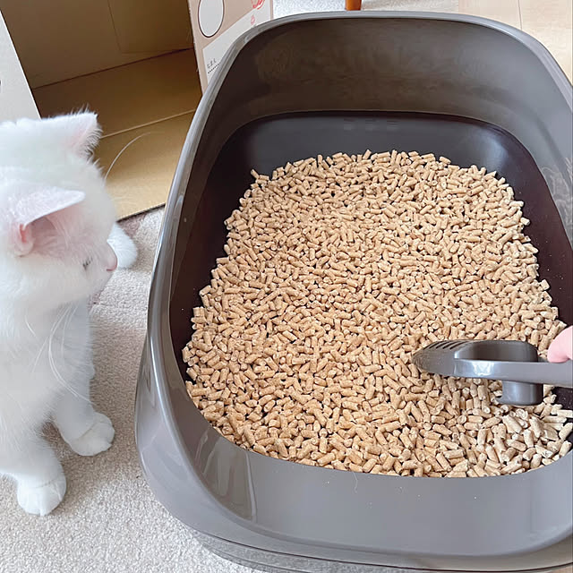 kotoriさんの実例写真