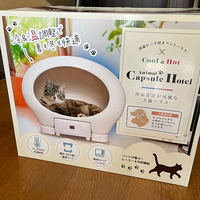 chikaさんの実例写真