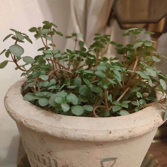 Yoko622さんの部屋