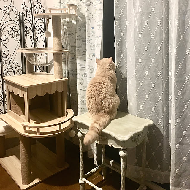 naokoさんの部屋