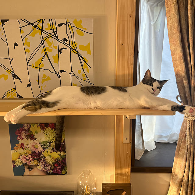 実例写真