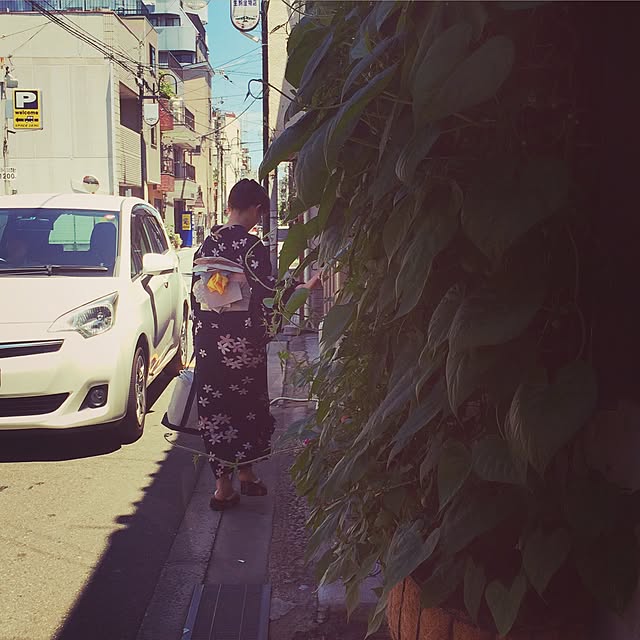 実例写真