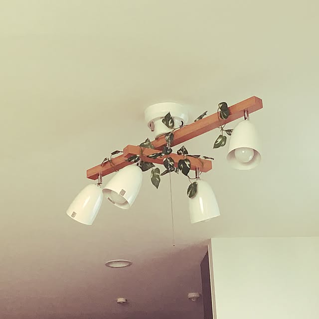 meluさんの実例写真