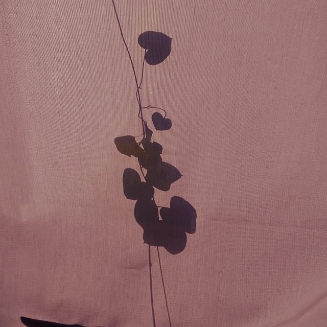 dannaさんの実例写真
