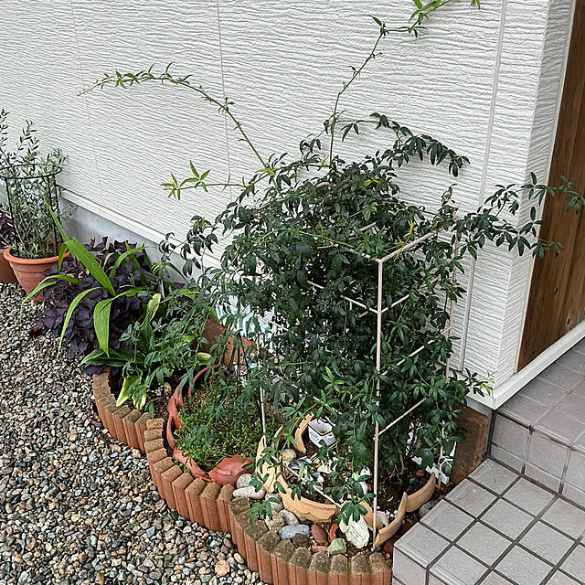 chiiyanさんの部屋