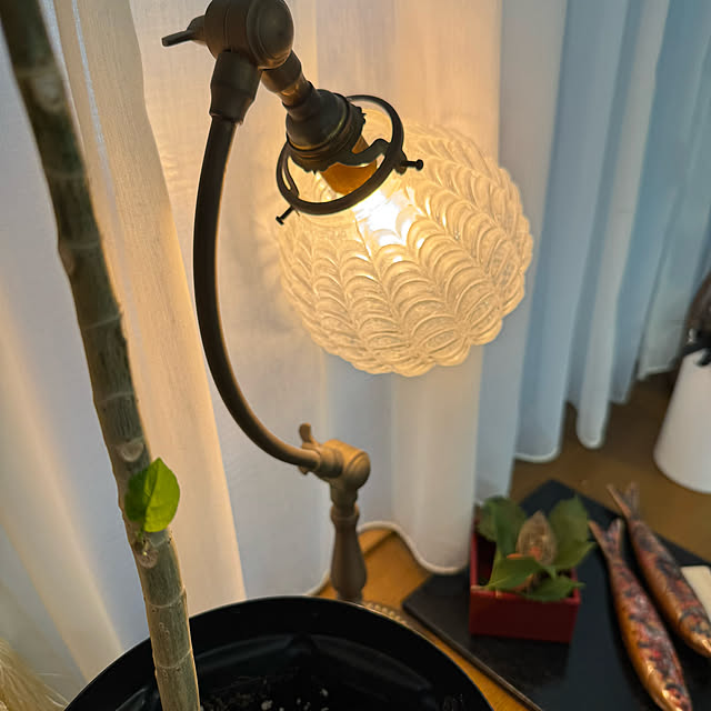 mamizaさんの部屋