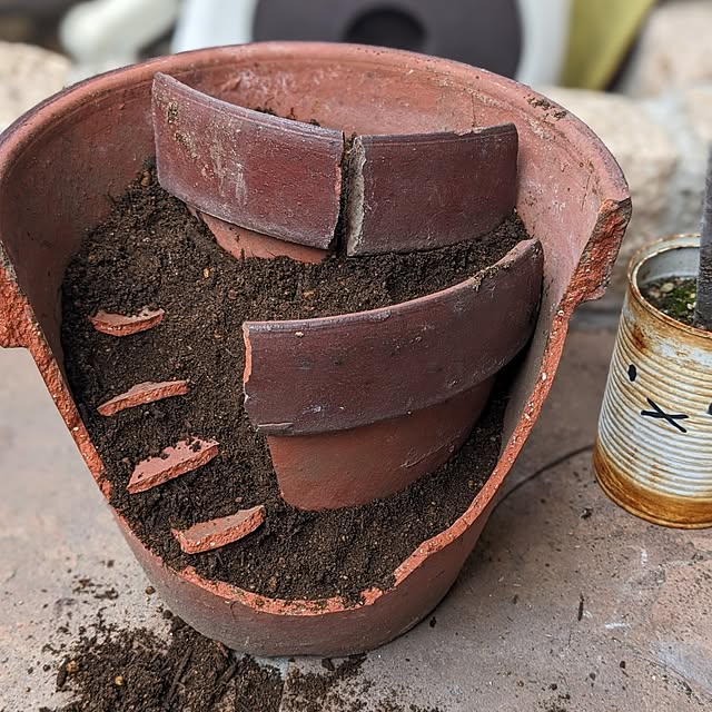 junさんの実例写真