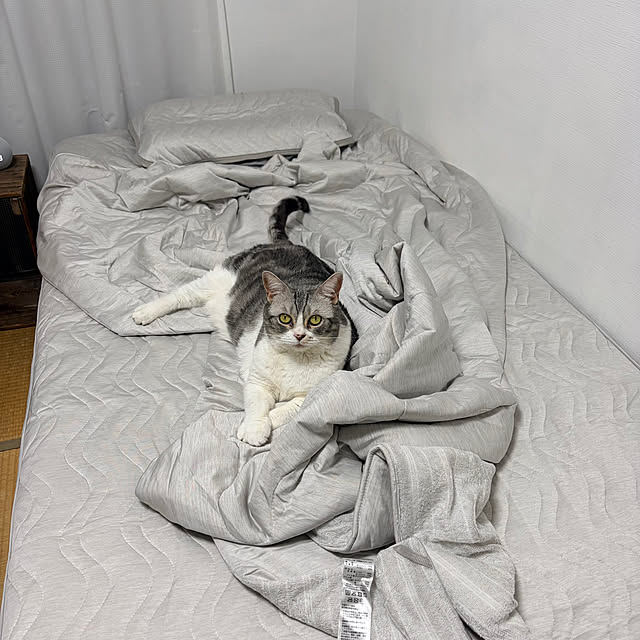 Atelier.mさんの実例写真