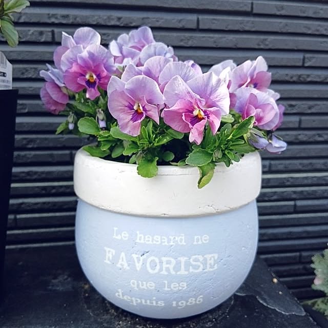 kaanaさんの実例写真