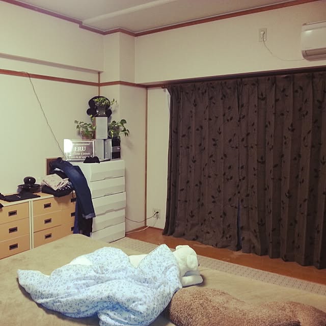 実例写真