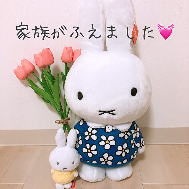 sa-yaさんの実例写真