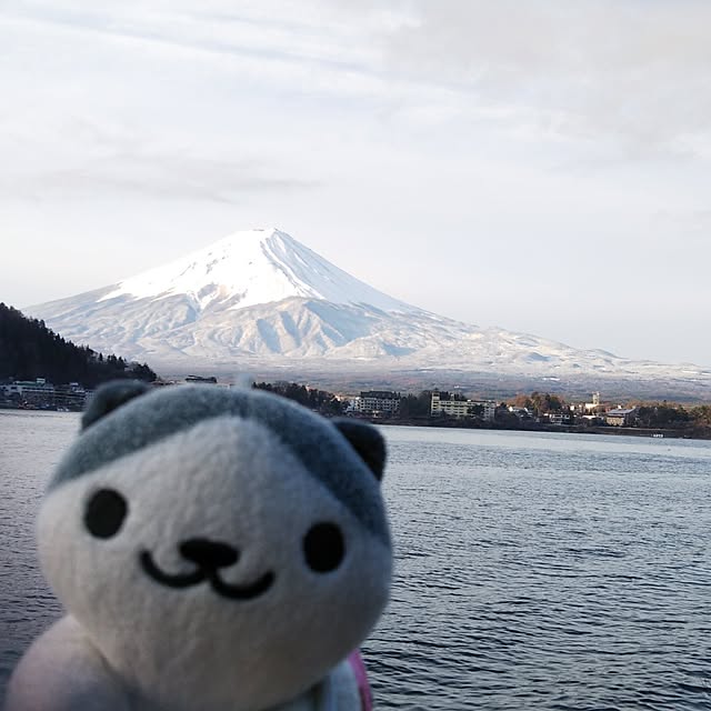 GAGAOPPECHKODEANさんの実例写真