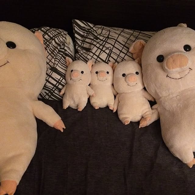 Mさんの実例写真